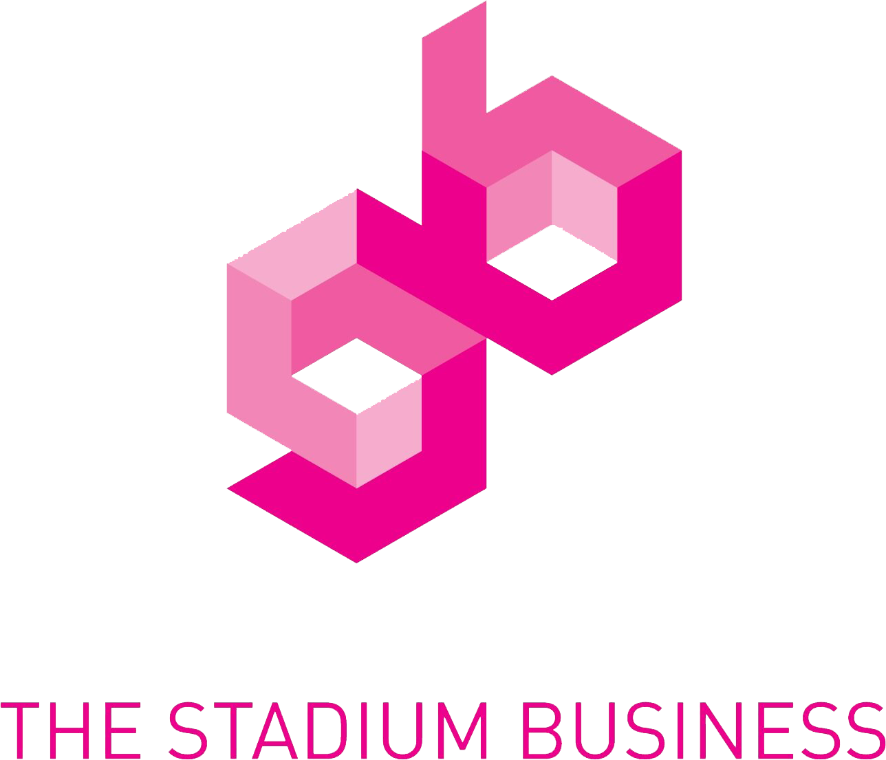 Logo The Stadium Business